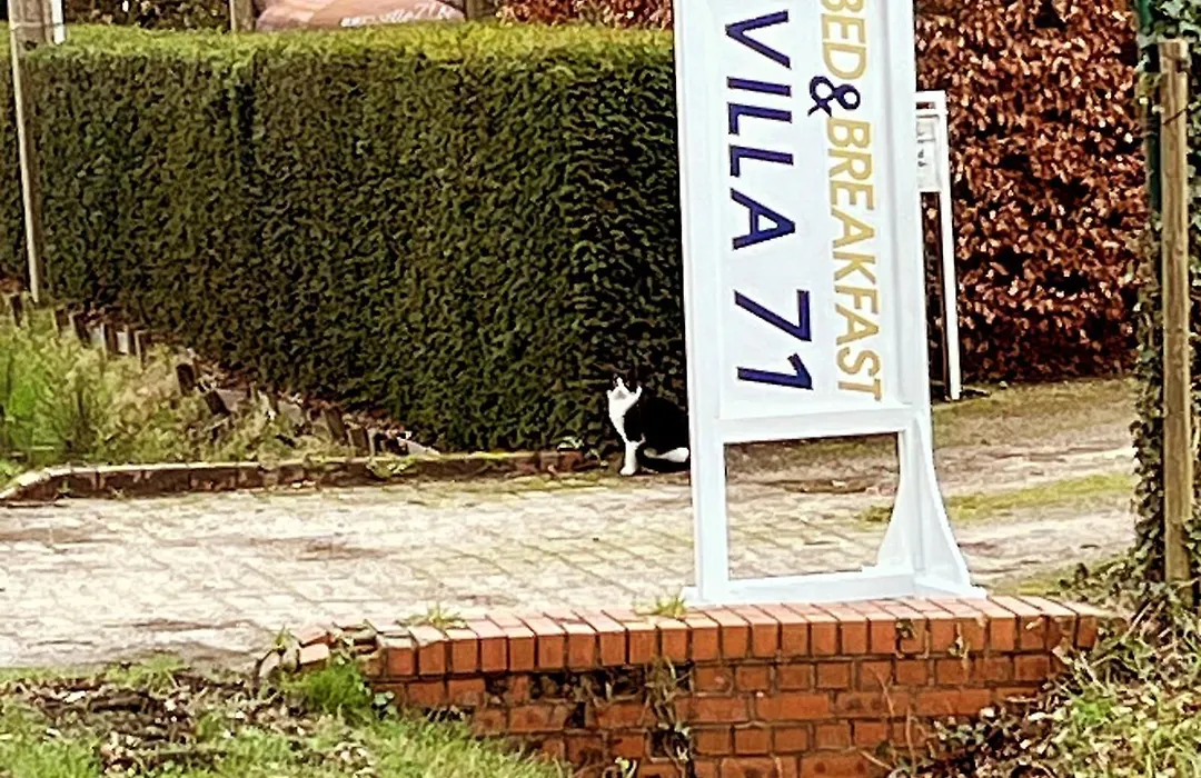 Villa71-1